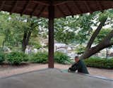 The Osaka Garden in Jackson Park provides a respite from the city.  Photo 3 of 8 in The Real Chicago