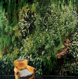 The indoor garden wall Patrick Blanc created for his friends the Dimanches is so lush, it's almost as if someone has plopped an easy chair down in the middle of a forest.