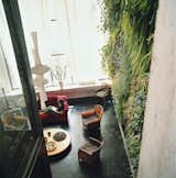 The Dimanches' indoor garden wall is 20-by-23 feet, dominating the living room with greenery.