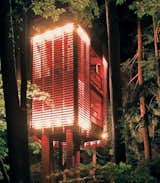 "This was really a parameter-driven project," explains Lukasz Kos, a Toronto-based designer and cofounder of the architecture firm Testroom. "That is, I had to let the trees decide how the tree house would be."What the trees decided, apparently, was that they wanted a gracefully slender, Blade Runner–like elevator lodged between them. They also decided they didn’t want to be too mutilated in the process. Kos responded to their needs with the low-impact 4Treehouse, a lattice-frame structure that levitates above the forest floor of Lake Muskoka, Ontario, under the spell of some witchy architectural magic.He created this effect by suspending the two-ton, 410-square-foot tree house 20 feet above the ground with steel airline cables. With only one puncture hole in each of the four trunks into which the cable is anchored, the trees get away almost entirely unscathed, and the structure attains the visual effect of being suspended weightlessly in midair. At the base of the tree, a staircase rolls on casters upon two stone slabs, allowing occupants to enter and exit regardless of how much the tree house may be swaying or rocking in the wind. Solid plywood walls punctuated by a floor of red PVC constitute the "opaque" base story, which is largely protected from the outside elements. "The idea was to have the tree house open up as it gained elevation," explains Kos. The second story is surrounded by a vertical lattice frame, allowing for breezes, air, and light to filter softly through walls while still establishing a visual perimeter between outside and inside space. At top, the tree house is completely penned in, a suspended patio with a ceiling of sky.  br&gt; br&gt;Photo by Lukasz Kos.