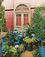 Fawning Over Flora - Photo 6 of 6 - 