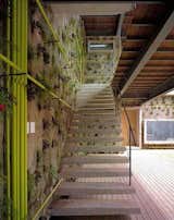 Living Walls