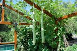 To Do: Edible Estates Demonstration Garden