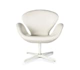 Swan Chair 50th Anniversary