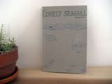 The Lonely Seagull Magazine: Art, writing, thinking, music, place, animals, and people, $10