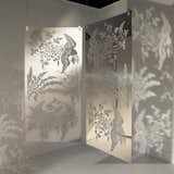 Reflecting on Kimonos
