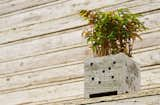 The Pipe Planter by Nobuhiro Sato of Pull + Push plays with structural and industrial forms to resemble concrete model building with an impressive green roof. $50  Photo 1 of 1 in Pipe Planter by Nobuhiro Sato