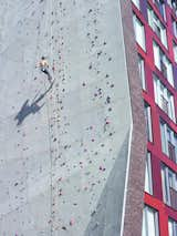  Photo 1 of 1 in Climb by Casey Tiedman from Dormitory Climbing Wall