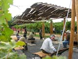 Chilean Wine Barrel Breezeway