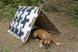 Houndstooth Dogtent