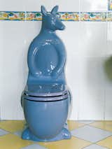 Pint-size kangaroo toilet in Turkey.