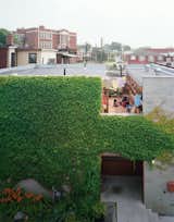 A wide cut across the top of the structure made room for a second-floor courtyard where the family can catch some sun but maintain their privacy. On the ground level, the front door is tucked into an ivy-covered alcove lined with ipe, a material used throughout the house.