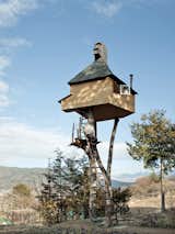 Fujimori's retreat in Nagano, The Too-High Tea House, which is adorned with a roof of hand-rolled copper sheets, seems precariously perched atop a pair of tree trunks 20 feet in the sky. Why two? “One leg is dangerous and three legs are too stable and boring.”