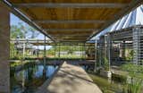 Shangri La Botanical Gardens and Nature Center (walkway) in Orange, Texas, by Lake|Flato Architects. Photo by Hester + Hardaway.