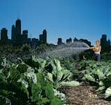 A City Farm worker sows the seeds of Ken Dunn's efforts. The proposed Mobile City Farmstead would allow the farms to adjust to their city's evolving economic and social landscapes with ease.