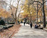 Rittenhouse Square, an idyllic, multiblock park dating to the late 17th century, is reliably populated with sunbathers and summer music festivals.