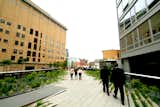 The High Line Opens