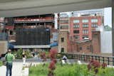 The High Line Opens - Photo 5 of 5 - 