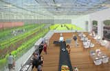 Got an empty big box store? This proposal suggests planting the parking lot and roof, turning the interior into a greenhouse, and enjoying hyper-local fresh produce.
