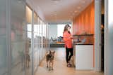 Tereasa Surratt and Jack, a friend’s German shepherd mix, hang out in the kitchen, where appliances are hidden behind aluminum-and-frosted-glass wardrobes from Ikea.