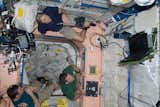 Members of the Space Shuttle Endeavour and ISS crews spend some rare leisure time together on the orbital outpost as they move within a day and half of undocking and going separate ways. Astronaut Sandra Magnus, flight engineer for Expedition 18, is partially visible at lower left corner. Others sharing a few moments in the Unity node, from the left, are cosmonaut Yury Lonchakov, Expedition 18 flight engineer, and astronauts Steve Bowen and Donald Pettit, both STS-126 mission specialists. Photo taken November 26, 2008. 

Courtesy of NASA  Photo 24 of 29 in Space Living: Astro Home