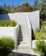 The entry and stairs to the tree house complex was sculpted from exposed, unpainted concrete, designed to suggest the ladder of a traditional tree house.