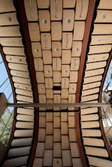 The Wild Beast by Hodgetts + Fung - Photo 6 of 6 - 