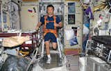 Space life doesn’t differ much from the daily grind on Earth—–it just demands more attention. Leroy Chiao’s daily workout requires tying on both sneakers and 

a bungee harness before putting in miles on the TVIS (“treadmill vibration isolation system”). Image courtesy of NASA.