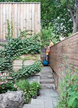 Outdoor, Back Yard, Hardscapes, Trees, Gardens, Wood, Stone, Boulders, and Horizontal In the back, ivy climbs across the garage’s raw cedar cladding next to a gate that allows access to the laneway—but the boys prefer to climb the fence.  Outdoor Gardens Horizontal Photos from Narrow Modernist Three-Story Home in Toronto