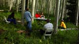 (Film still from "The Environmental Witch Hunt")

Debating social engagement while watching out for poison ivy.