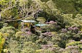 A Rodrigues house in the Atlantic Forest of Brazil. Photo courtesy Espasso.