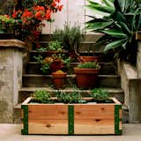 Patio Garden Kit by Scout RegaliaOur apartment dwelling neighbors finally have a design savvy solution to all of their gardening needs. Plus, it's manufactured right here in L.A...Gotta love that!