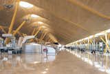 The Barajas Airport extension in Madrid by architect Richard Rogers is perhaps the architect's greatest addition to Spanish design. The undulating roof is supported by branching concrete columns.  Photo 2 of 8 in Landscape of Infrastructure by Aaron Britt
