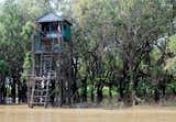 Flooded mangrove forests surround Kompong Phluk, an integral habitat for the fish that make up the livelihood of the thousands who live on the lake.
