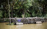This is one of the many floating fish farms that you can see scattered throughout the village, tethered to the trees or a fisherman’s home.