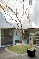 Honoring the traditional Korean residence and its typical interior courtyard, this modern wood-and-concrete home in South Korea seamlessly plays with interior and exterior spaces with its glassed-in interior yard. A single crepe myrtle provides life during the winter and color and shade in the summer.