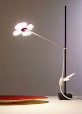 The proprietary LED panel casts a more even and warm glow than other LEDs.  Photo 1 of 7 in ICFF 2010: Ikebana Arranging