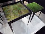 'Real Moss Table' by Ayodhya from Thailand