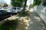 Begley tore out the grass between the sidewalk and the street and planted a drought-tolerant garden.
