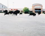 Sighting Avondale Mall by Andrew Scott Ross and Scott Lawrence