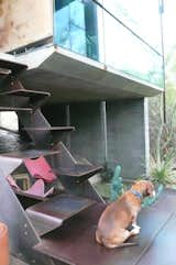 The structure is split into two units, with the kitchen and living room connected to the bedrooms by an outdoor terrace and a set of innovative but rather precarious steel stairs, shown here. Burnette's sweet and slightly senile old dog can't climb them.