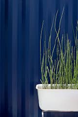 Reeds grow from a tub outside the steel structure. "We capture the graywater from the sink and shower, and use it to water the plants in the garden," says Hill.