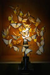 Here's a table lamp made from a flurry of 50 butterflies, hovering above a pesticide canister.