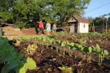 Since Growing Home launched two years ago, close to 600 people have enrolled in the program, Feldman says. Of those, 175 people have purchased the lots next door to their own homes, 50 have completed their landscaping projects, and the remaining individuals are waiting to close on properties. Though almost all projects are residential works, Valerie Woziniak, an Algiers resident, completed the first community garden in May.