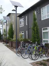 The landscape design of Tassafaronga Village is very bike and pedestrian friendly. Networks of paths link the residences together and bike racks are stationed throughout the village.