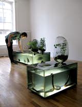 Of the more strange displays is the Local River designed by Mathieu Lehanneur in collaboration with Antony van den Bossche. Though Urban Africa and Sustainable Futures close on Sunday, Brit Insurance: Designs of the Year 2010 runs through October 17 and a new show, John Pawson: Plain Space opens later this month, on September 22.