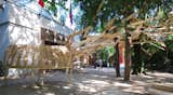 Walking from the direction of the French and Japanese pavilions, visitors were greeted by an explosion of wooden 1x4s lining the trees of the entry pathway. (Formerly the pavilion of Czechoslovakia, the building was designed by Otakar Novotn back in 1926.)  Photo 1 of 11 in Czech Trek at the Biennale by Tiffany Chu