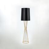 The Tulip Lamp, with a base of metal rods, was designed in 2007.