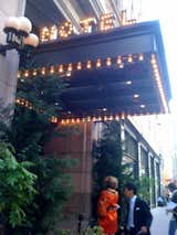 Then I made a beeline for the Ace Hotel, designed by the New York-based firm Roman and Williams. I love the showbiz entrance.