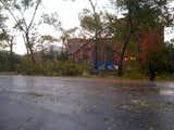 While reporting a story about an architect's rowhouse in Brooklyn, I had a close call, narrowly avoiding getting caught in the epic tornado that blazed through the city. I passed this park on my walk back to the subway. All that greenery on the ground is downed trees-—a handful of the two thousand killed or critically damaged by the storm.